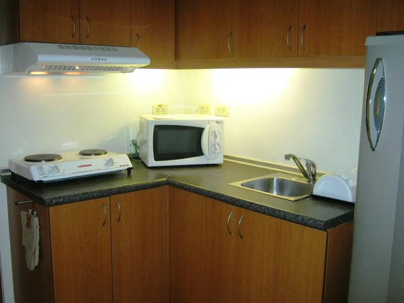 Studio condo for rent in Paseo Parkview Suites, photo 4
