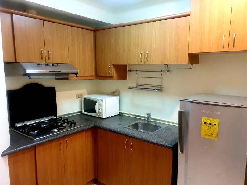Paseo Parkview Suites 스튜디오 콘도 임대, 사진 4