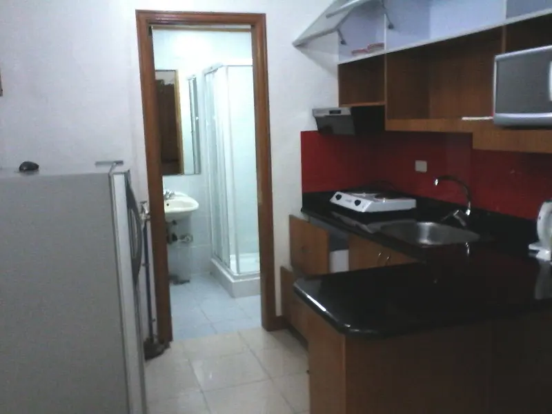 Antel Platinum Tower 1베드룸 콘도 임대, 사진 3