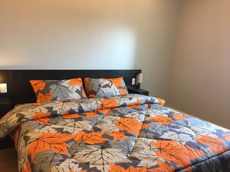 1 BR · Meranti at Two Serendra