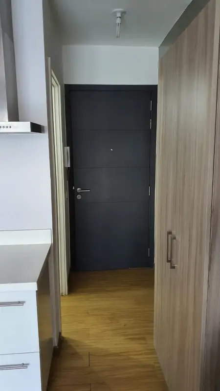 Acqua Private Residences 开间公寓出租，第 3 张照片