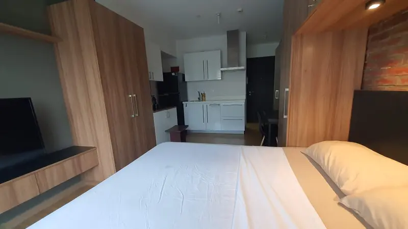Acqua Private Residences 开间公寓出租，第 4 张照片