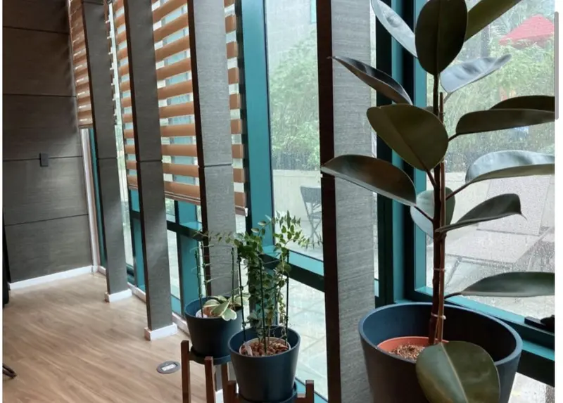 2-bedroom condo for rent in Amorsolo West, photo 2