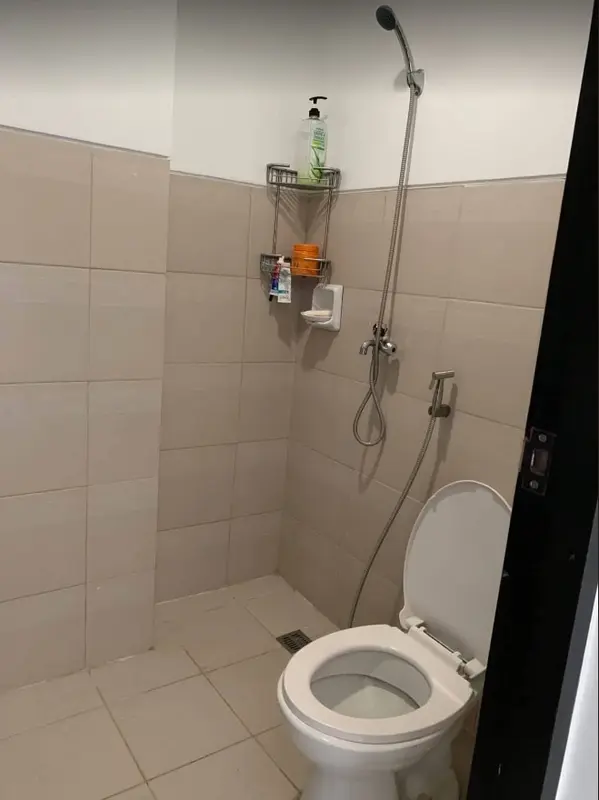 Paseo Heights 2室公寓出租，第 5 张照片