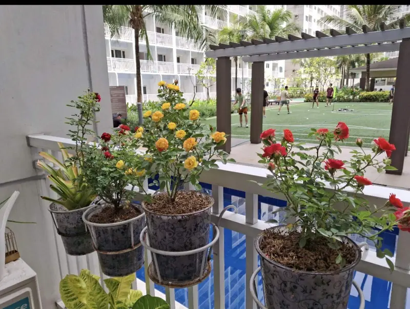 2 BR · Shore Residences