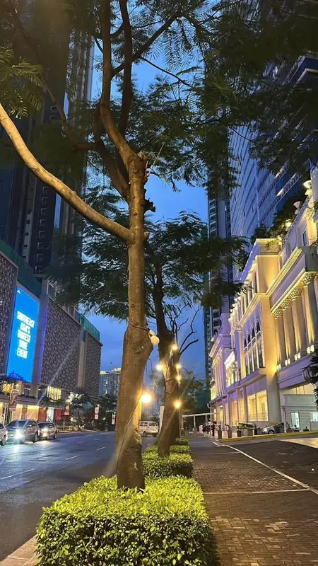 Uptown Parksuites 3베드룸 콘도 매매, 사진 3